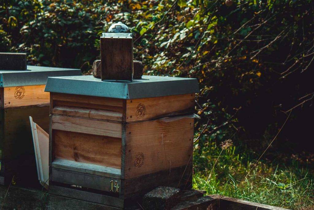 KInder- und Jugendfarm Bienenstöcke