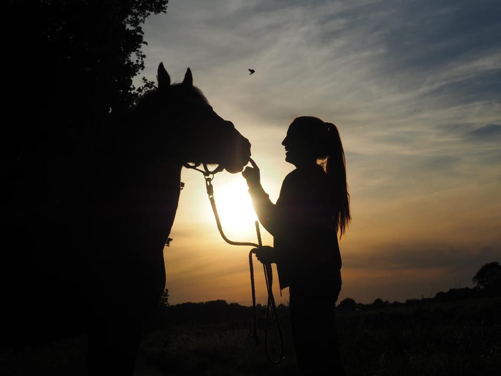 Vor der Kulisse eines Sonnenuntergangs berührt eine Frau lächelnd und zärtlich die Nüstern eines Pferdes