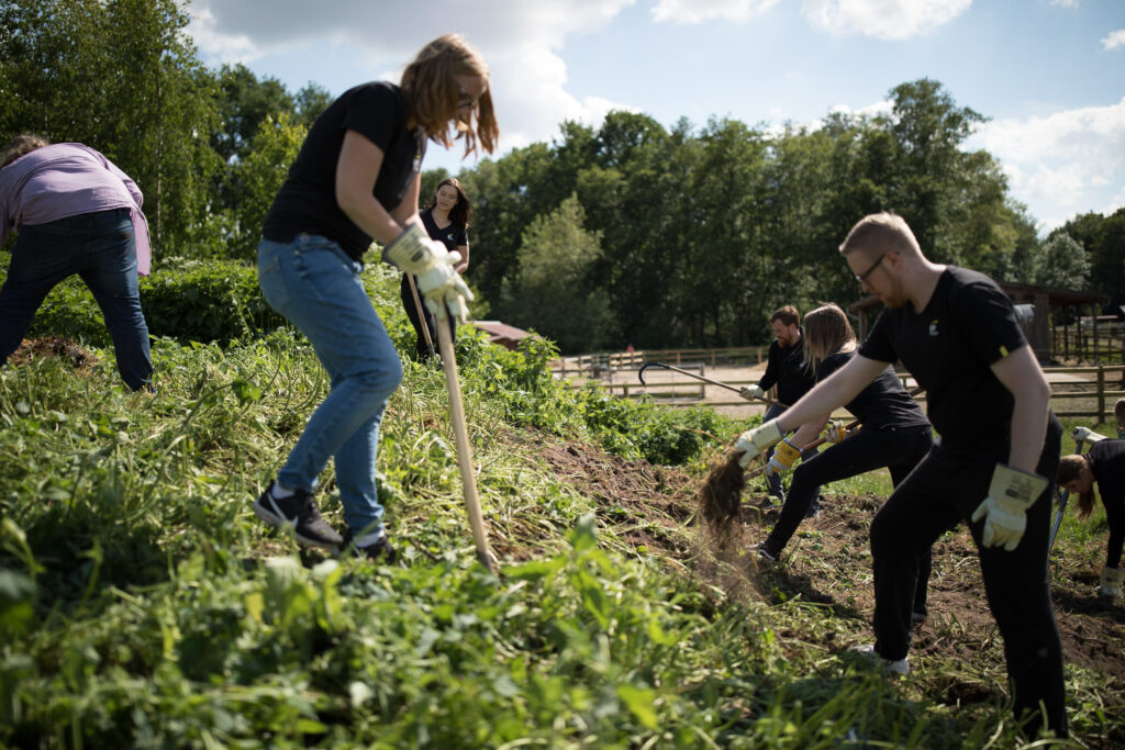 Sechs Personen in Aktion auf einem Erdhügel - mit Gartenwerkzeug und teilweise per Hand jäten sie Unkraut und sind gärtnerisch aktiv.
