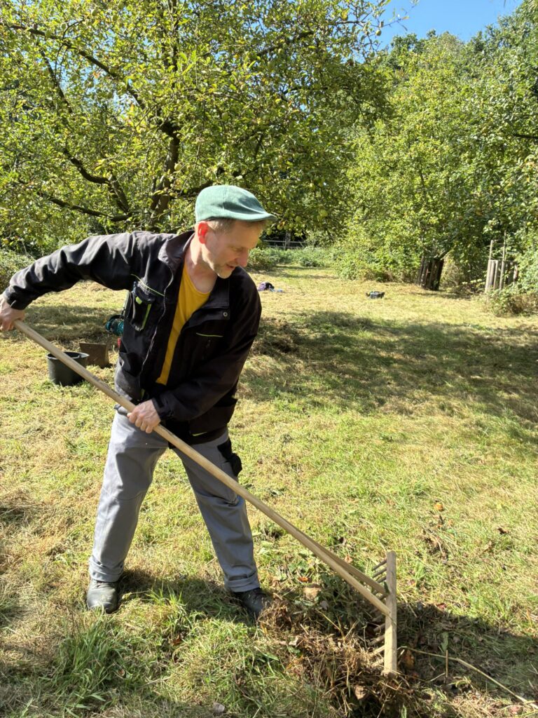 Ein Mann in Arbeitskleidung harkt Laub zusammen auf einer Streuobstwiese, im Hintergrund Bäume und Eimer auf der Wiese.