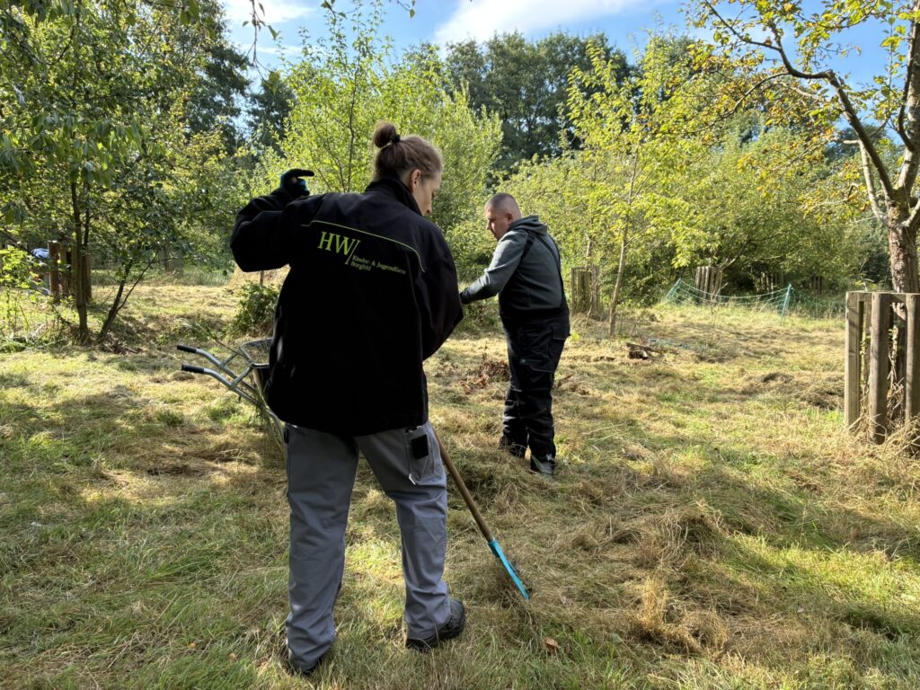 Zwei Personen in Arbeitskleidung harken auf einer Streuobstwiese getrocknetes Gras zusammen.