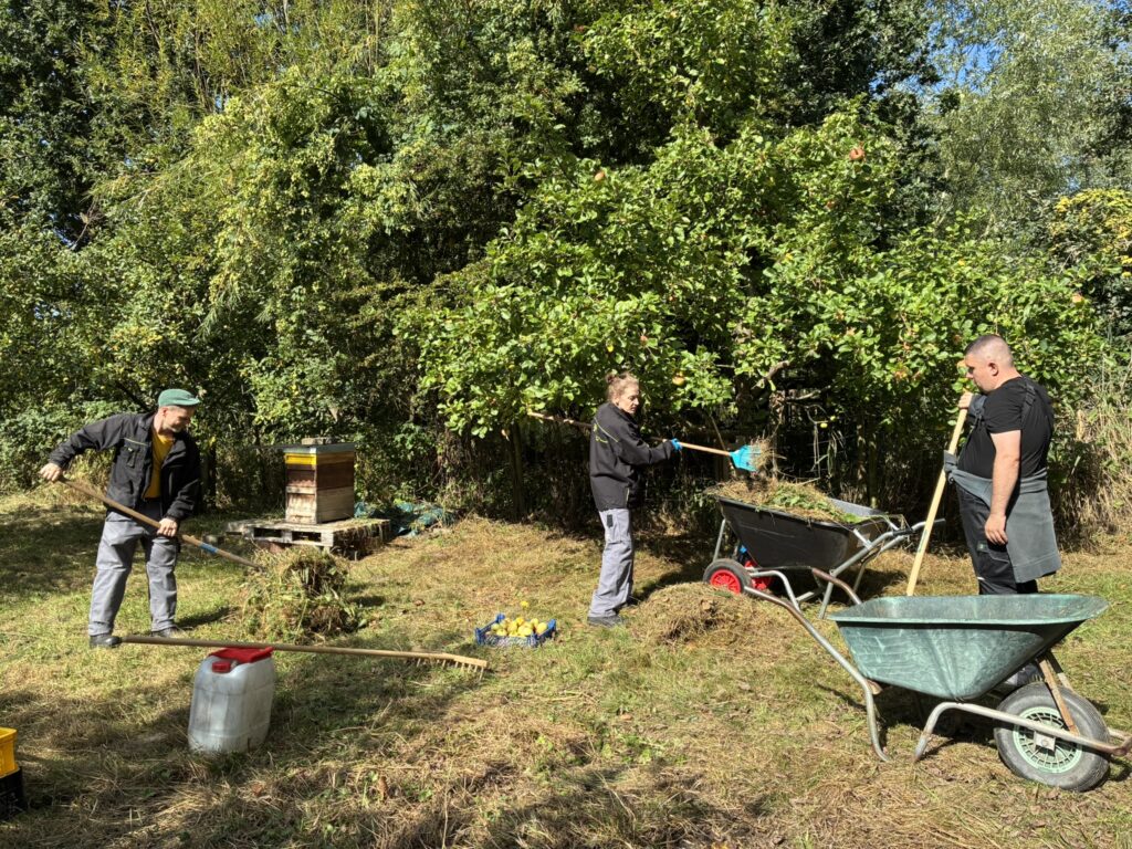 Drei Personen auf der Streuobstwiese bei der Arbeit: Sie harken, füllen gemähtes Gras in eine Schiebkarre. Eine weitere Schiebkarre, eine Harke sowie ein Behälter mit gepflückten Äpfeln sind auf der Wiese zu sehen.